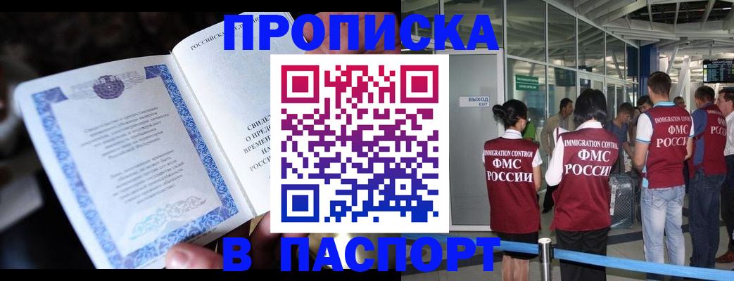 временная регистрация поиск в Камчатском крае